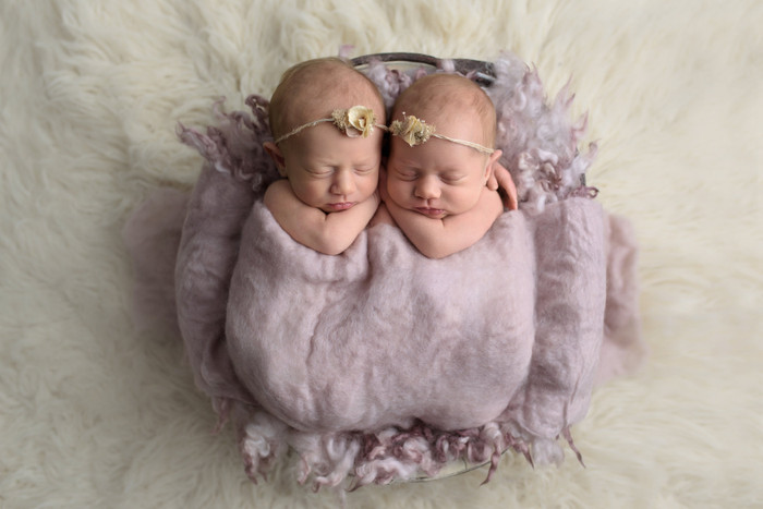 Collection 11 photo by Mandi Mccormack