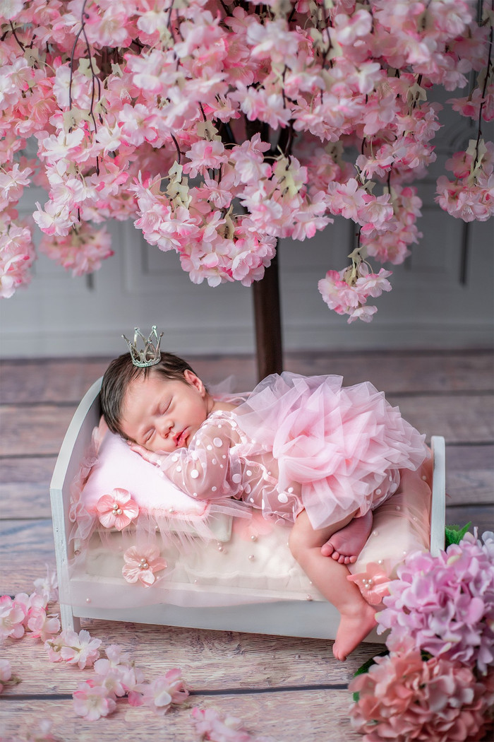 Collection 111 photo by Kristine Nikoghosyan