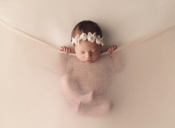 Collection 31 photo by Amy Mulford