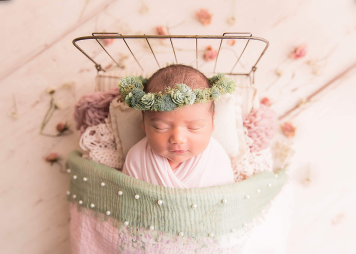 Collection 38 photo by Brandi Barth