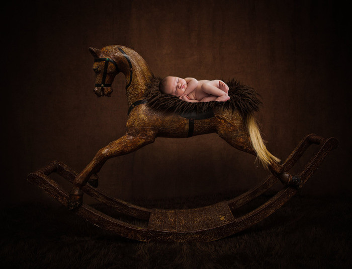 Collection 8 photo by Lisa Cheney