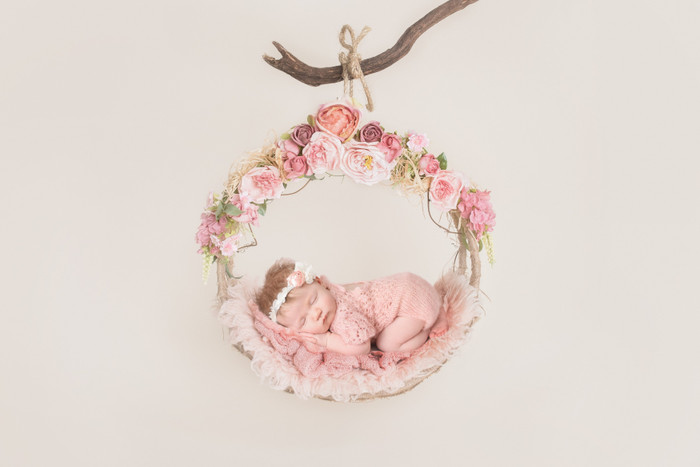 Collection 23 photo by Tricia Mclelland