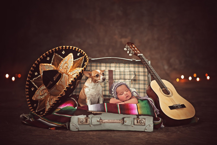 Collection 4 photo by Maximiliano Acosta Verrier