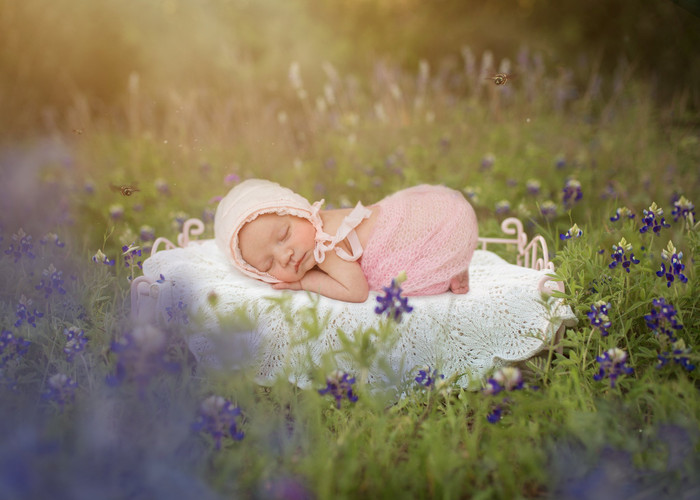 Collection 24 photo by Olesya Redina