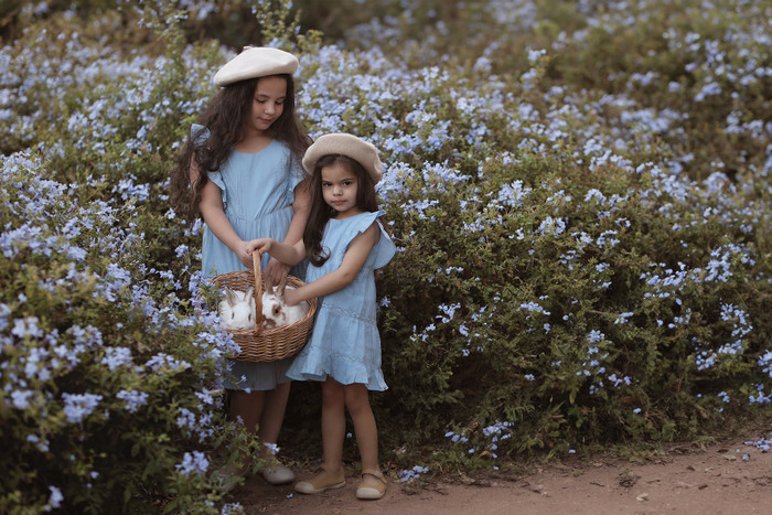 Collection 104 photo by Oksana Gimelfarb