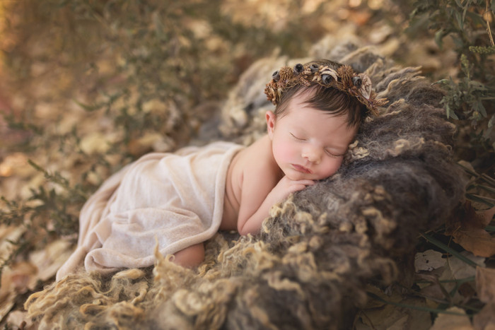 Collection 20 photo by Melissa Chamberlain