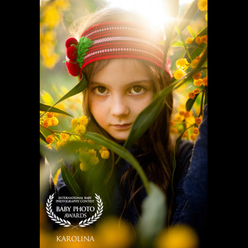 Galeriefoto 9