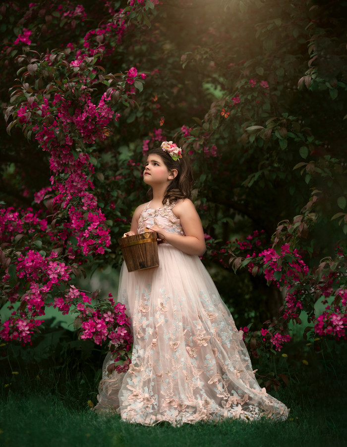 Collection 39 photo by Sonia Gourlie