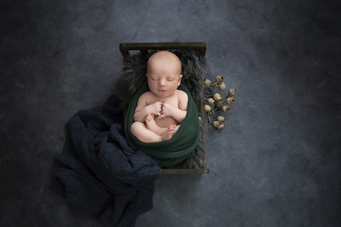 Collection 56 photo by Stephanie Rodden