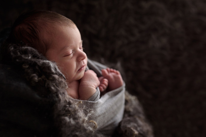 Collection 12 photo by Mandi Mccormack