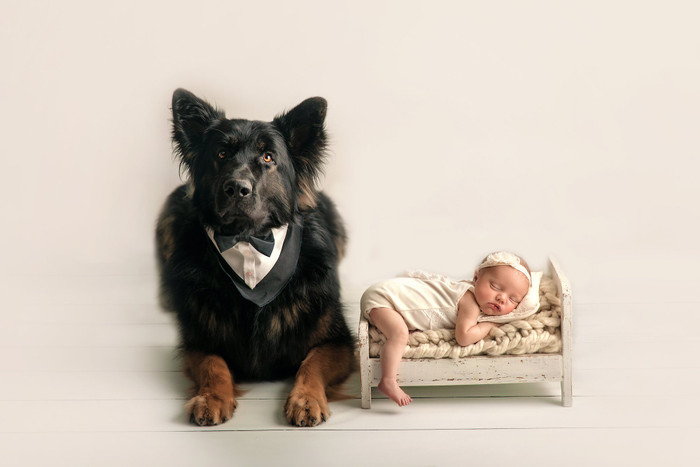 Collection 61 photo by Mila Boekestyn