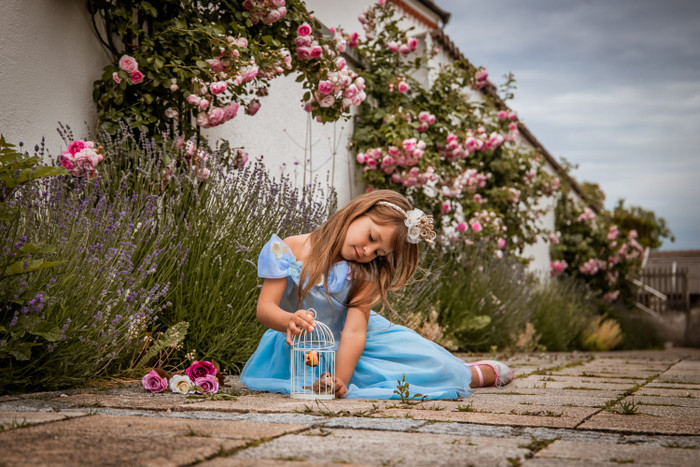 Collection 99 photo by Manuela Niederreiner