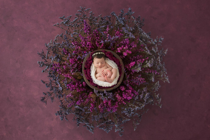 Collection 29 photo by Michelle Gramatovich Heide