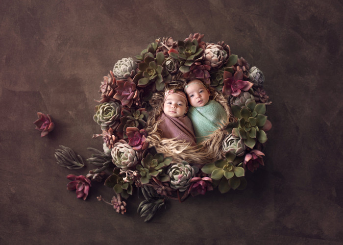 Collection 33 photo by Dee Murphy