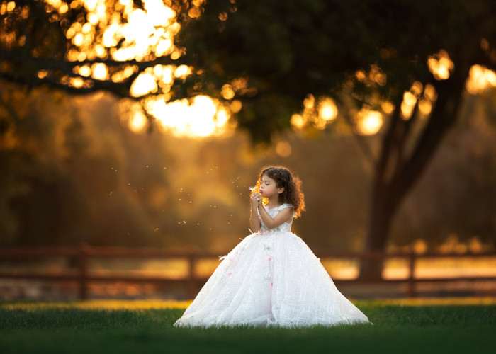 Collection 58 photo by Erin Espinoza