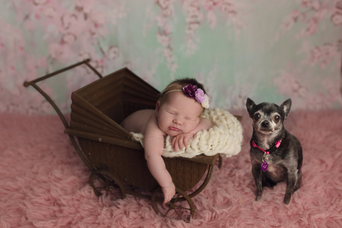 Collection 13 photo by Martha Sobanko