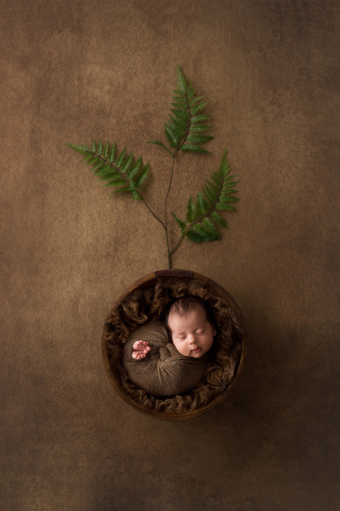 Collection 28 photo by Judith Gamliel