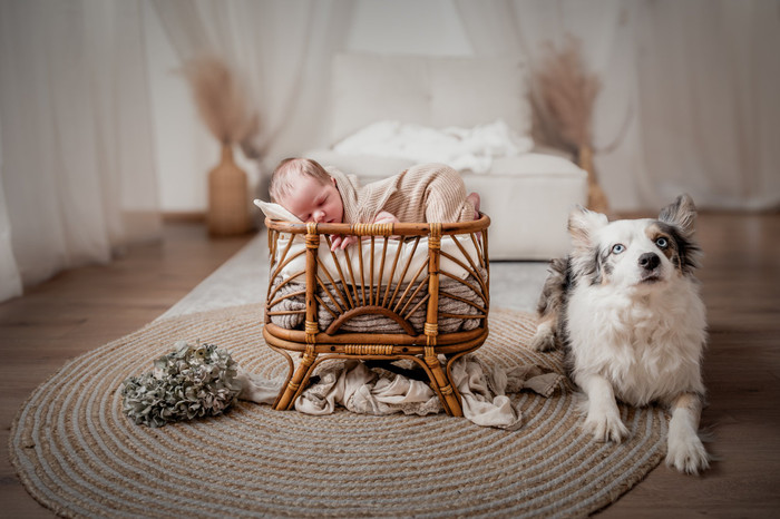 Collection 122 photo by Claudia Hartmannsgruber
