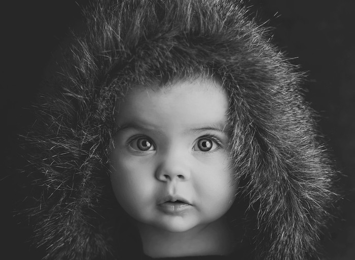 Collection 26 photo by Holly Fleming