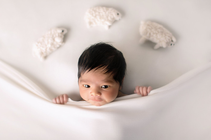 Collection 55 photo by Mila Boekestyn