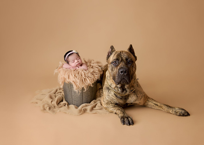 Collection 22 photo by Amanda Dams