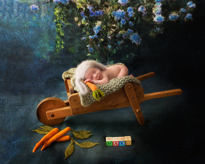 Collection 20 photo by Julie Mark