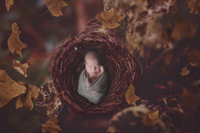 Collection 20 photo by Hali Newberry