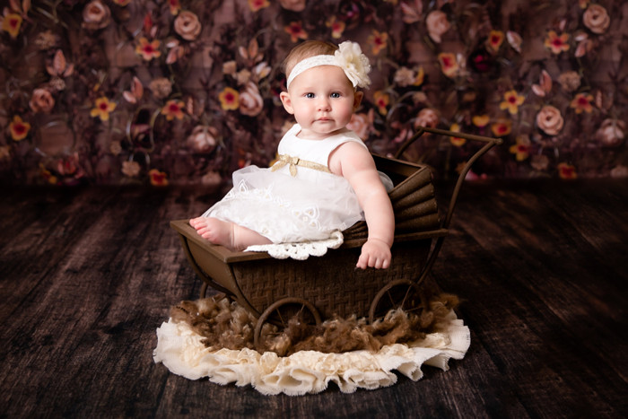 Collection 19 photo by Tricia Mclelland