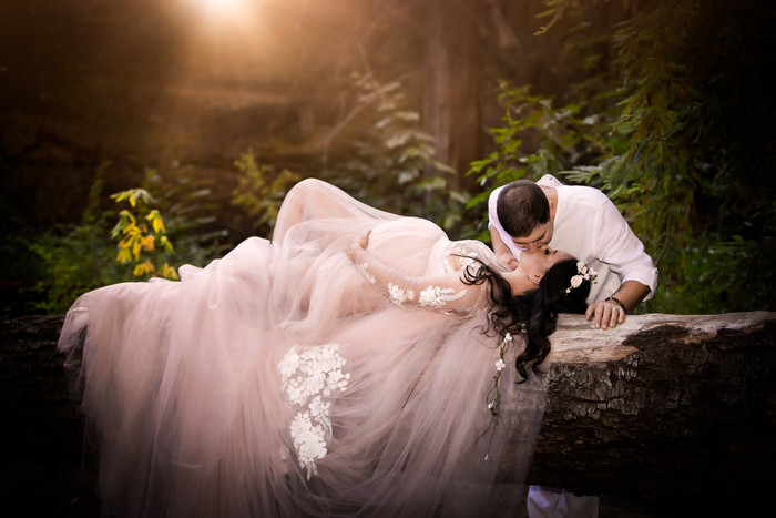Collection 30 photo by Aline Dorso
