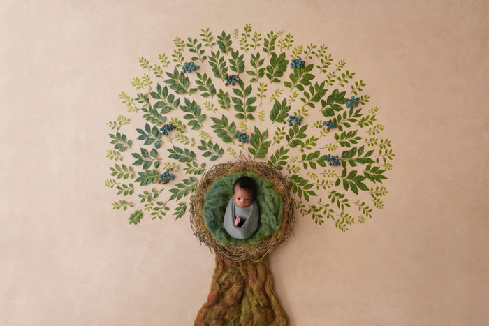 Collection 37 photo by Natalia Brembor