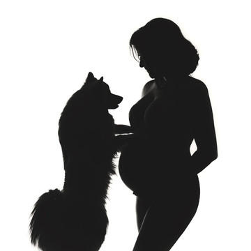Foto de galería 8