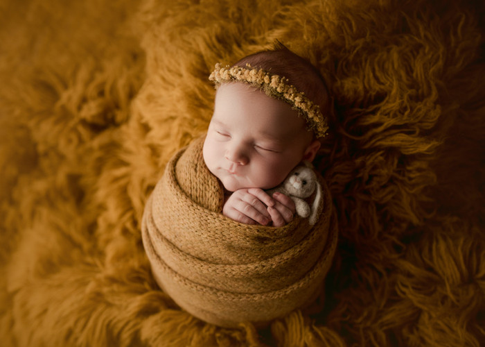 Collection 62 photo by Jenny Robertson
