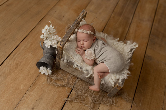 Collection 117 photo by Julia Kerbl