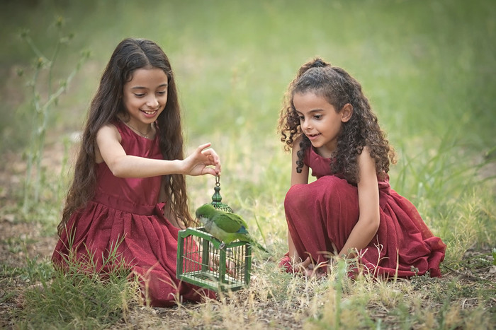 Collection 88 photo by Oksana Gimelfarb