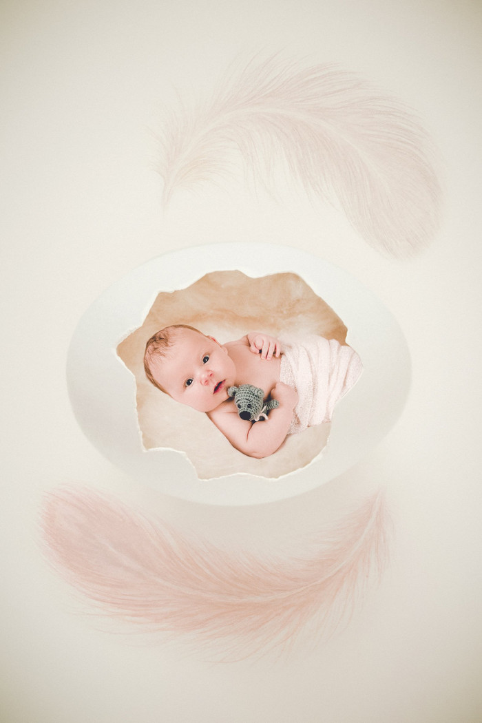 Collection 8 photo by Stefanie Crum