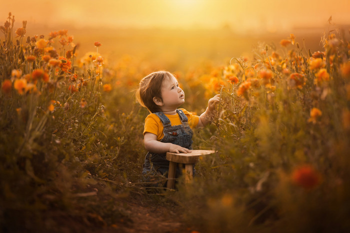 Collection 49 photo by Orian Halevy