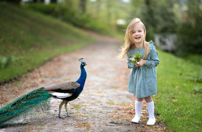 Collection 40 photo by Vaida Martinkiene