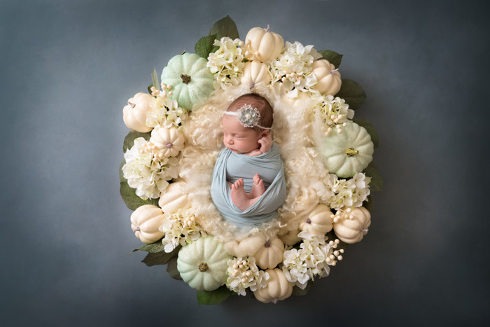 Collection 19 photo by Tricia Mclelland