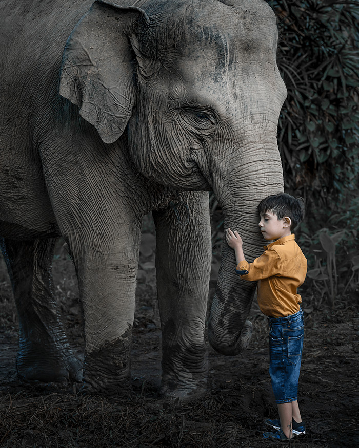 Collection 60 photo by Aysia Linggarwati