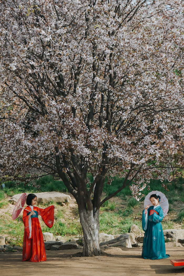 Collection 75 photo by Xuewen Duan