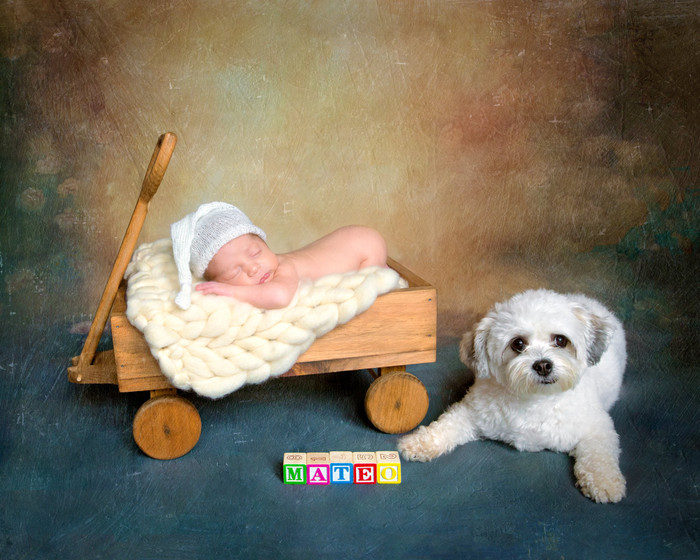 Collection 23 photo by Julie Mark
