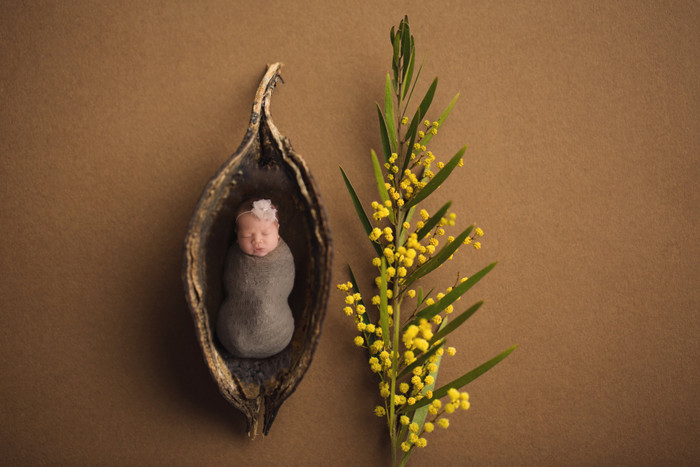 Collection 24 photo by Julie Cera