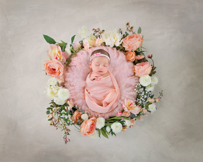 Collection 20 photo by Julie Mark