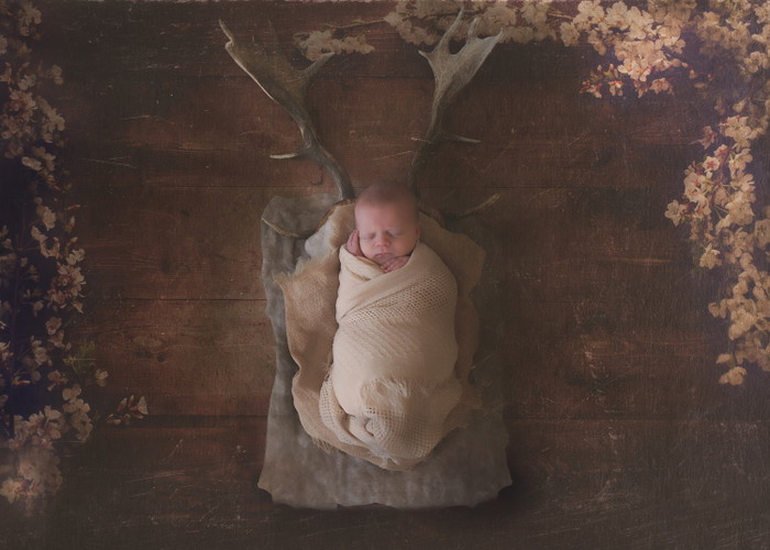 Collection 3 photo by Meg Holmes