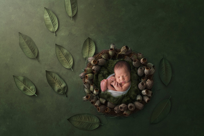 Collection 19 photo by Natasha Bamford