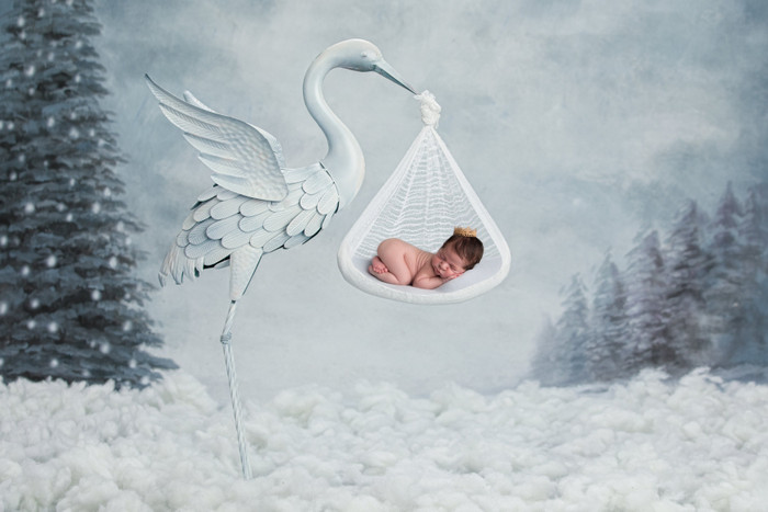 Collection 20 photo by Fernanda Pauwels