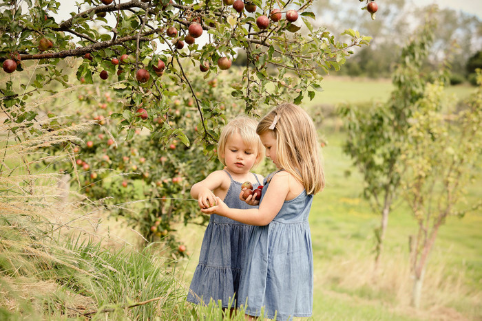 Collection 54 photo by Sarah Thew