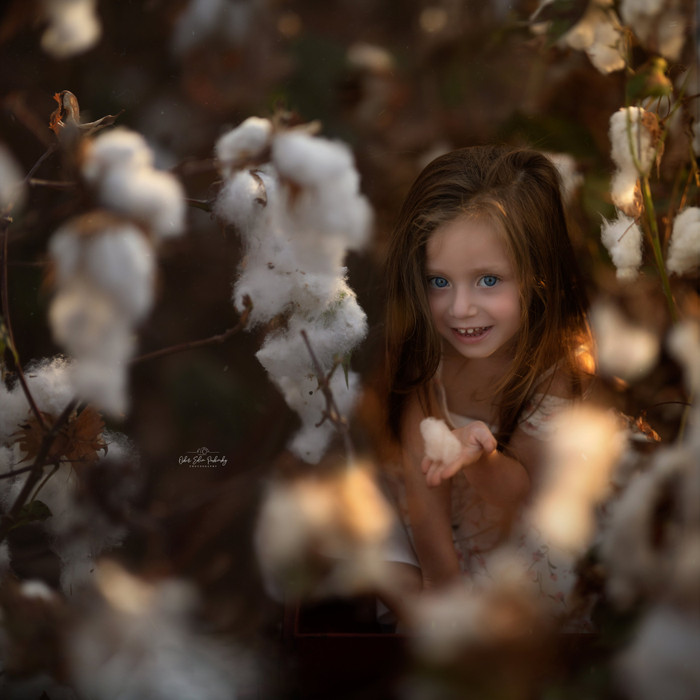 Collection 42 photo by Osher Eden Pashinsky