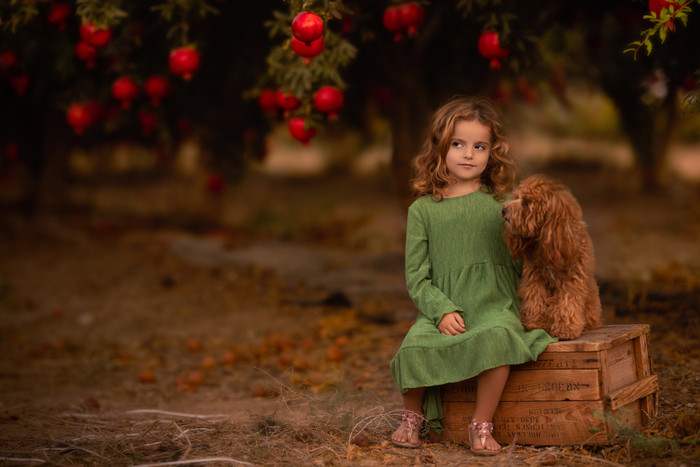 Collection 47 photo by Osher Eden Pashinsky