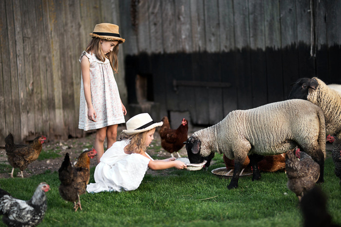 Collection 47 photo by Vaida Martinkiene